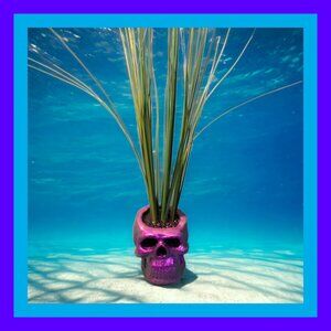 Aquarium Decoration - Purple Zombie Skull with Tall Green Plant.